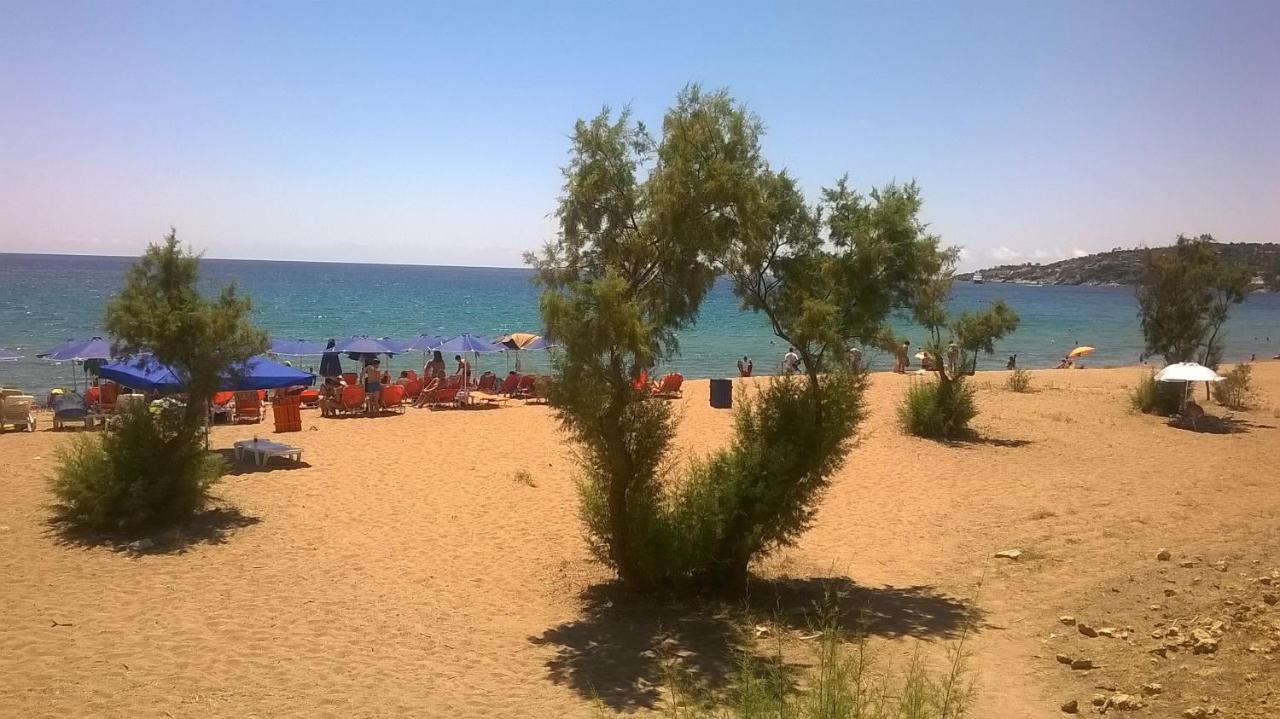 KoróniKonstantina'S House II别墅 外观 照片